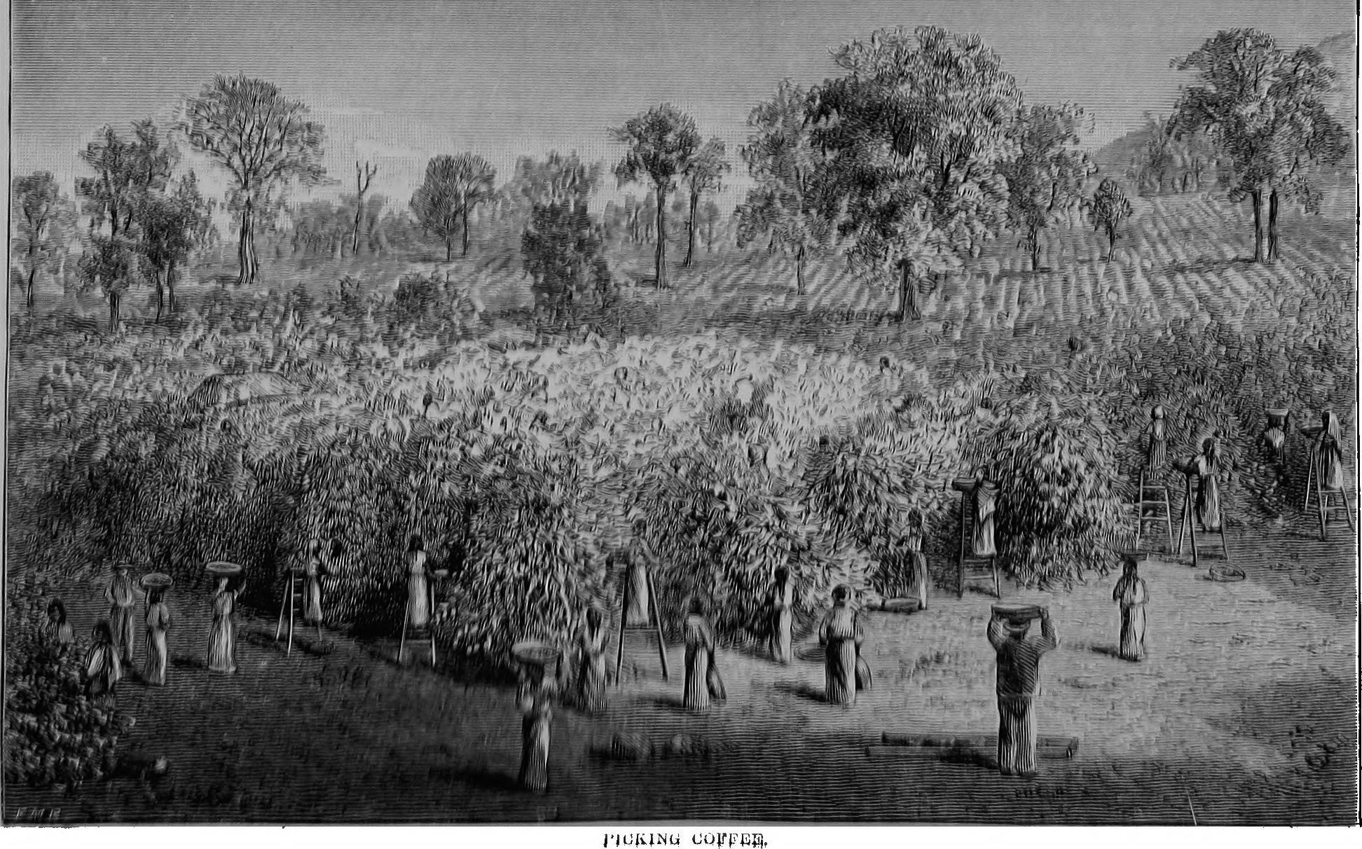 &quot;Where To Buy Instant Pot Ip-Duo60 Hendersonville Tn